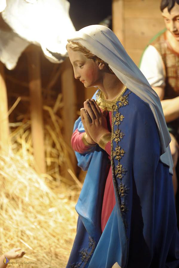 Nom de l'image : D30043049_1_(c)Norbert-JUNG — Description :